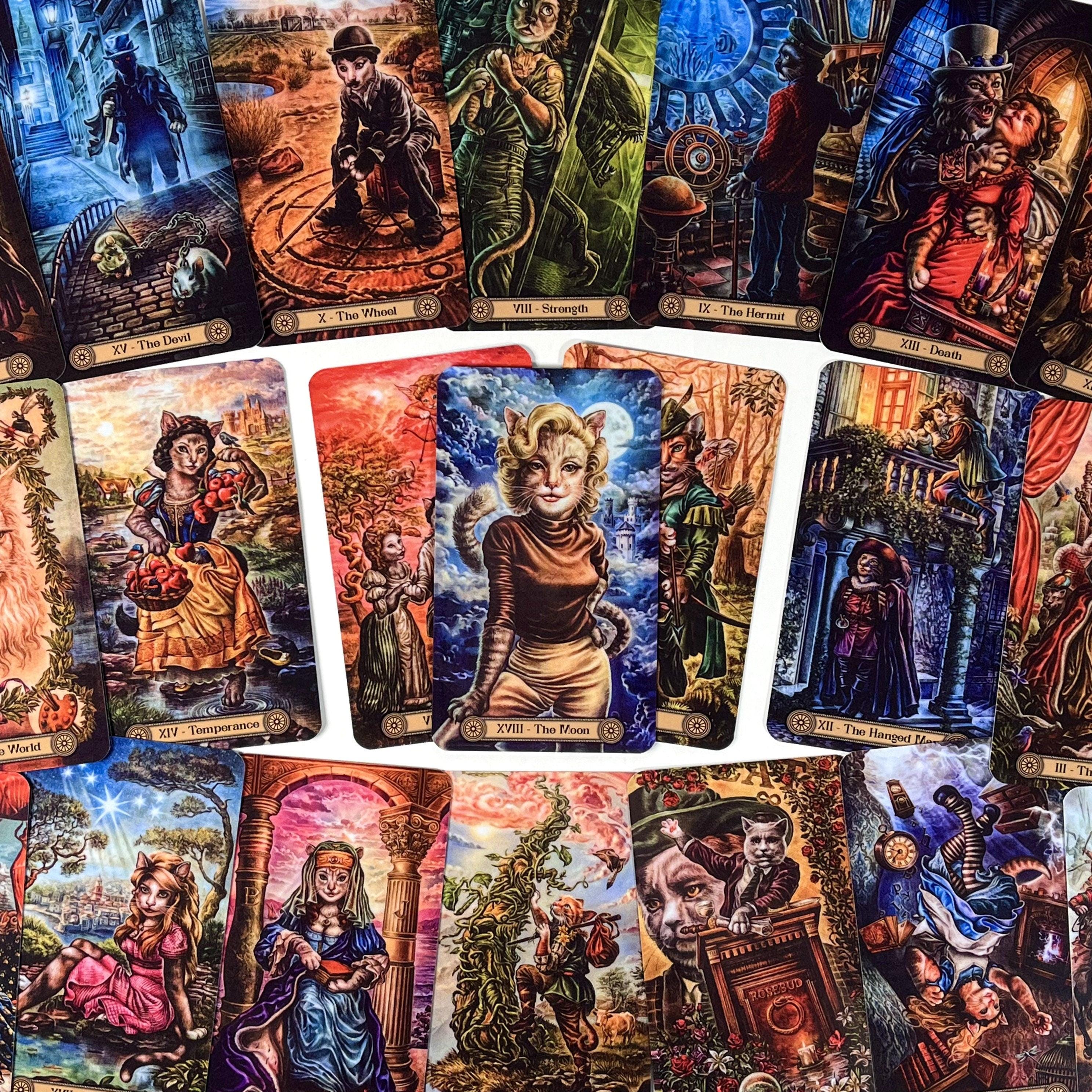 Cat Tarot Cards